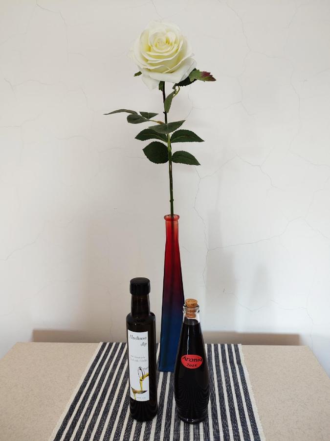 Apartament Ela